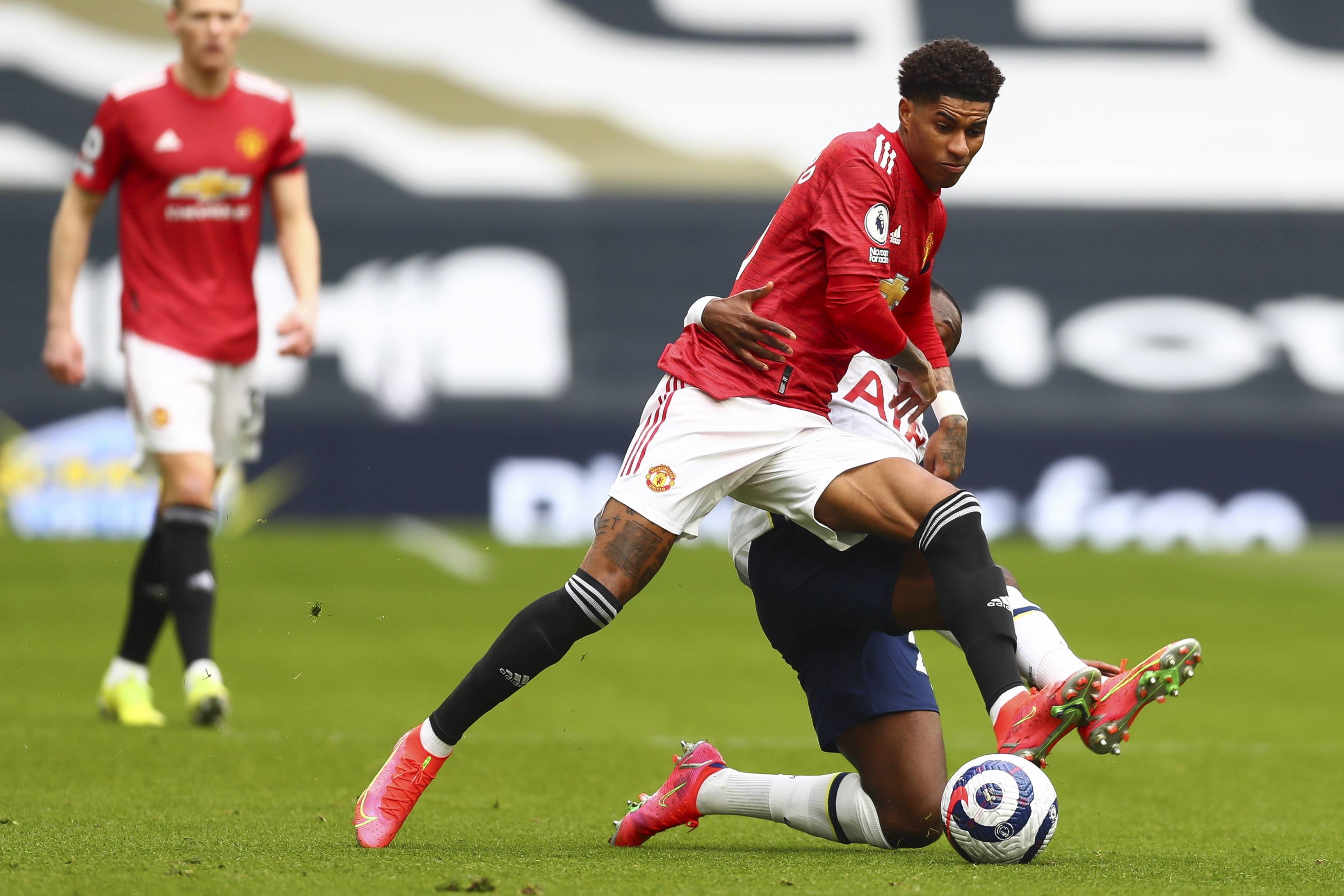 陪同也极为 陪同也极为